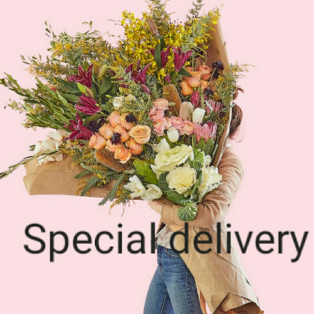 Meet your Posher, Elli